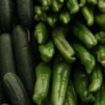 Katera gnojila potrebujejo plodovke za obilne pridelke?